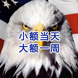 新州镇要账公司